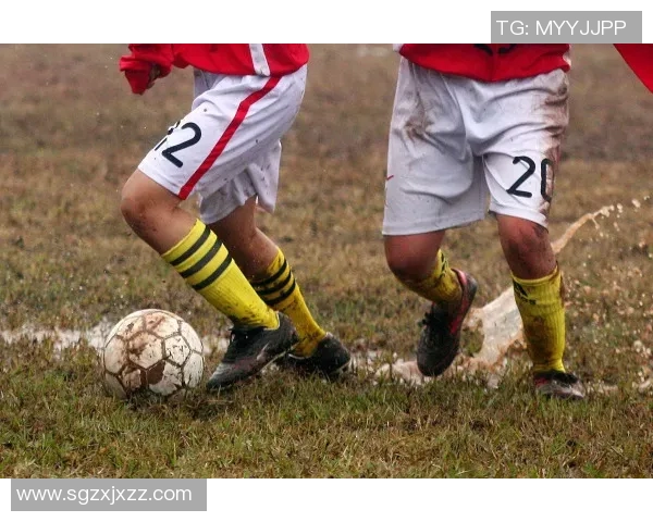 足球西罗：从绿茵场上的传奇到全球球迷心中的偶像之路